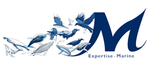 M - Expertise Marine - Inrest